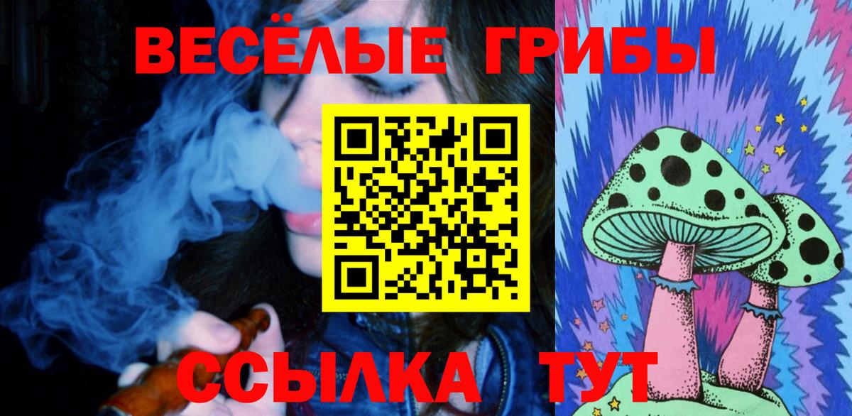Галлюциногенные грибы Cubensis  Галлюциногенные грибы Cubensis  Асино  Вход с VPN 